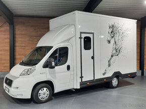 Fiat Ducato - prepravník na kone, prepravník koní - 2