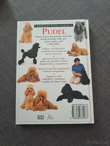 Pudel - 2