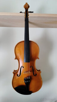 Viola 42 - 2