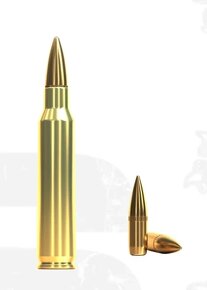 naboje, 223 rem, .223 rem, 223rem, 223 remington - 2