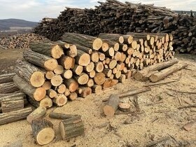 Predám palivové drevo metrovicu 6 metrov - 2