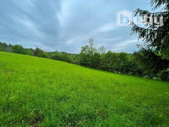 Pozemok na výstavbu chát / rekreačných objektov, predaj, Hor - 2