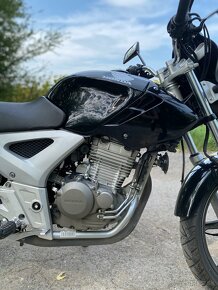 Honda 250 cbf - 2