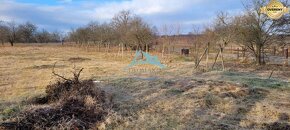 Výrazne znížená cena pozemku (4000m2) v obci Malý Krtíš. - 2