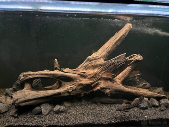 Akvarium 500l - 2