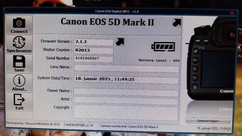 Canon 5D mark II - 2