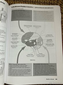 Moderní psychologie - 2