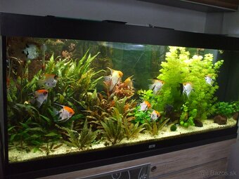 Predam akvarium kompletne s prislušenstvom bez ryb - 2