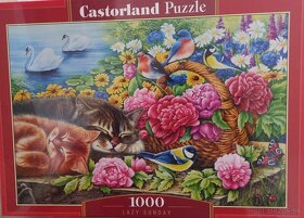 V-puzzle -  1000 dielikov - 2