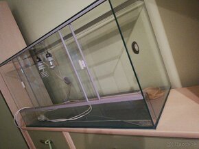 Terarium - 2