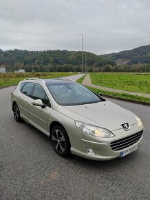 Peugeot 407 SW - 2