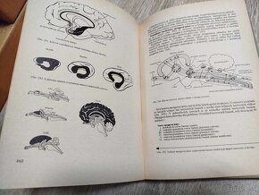 Fyziológia živočíchov a človeka--1980-- Paulov Štefan--počet - 2