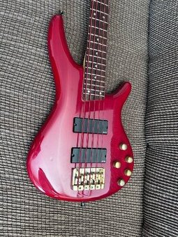 Ibanez SDGR405 - 2