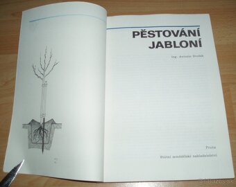 Pěstování jabloní - 2