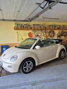 Vw Beetle - 2