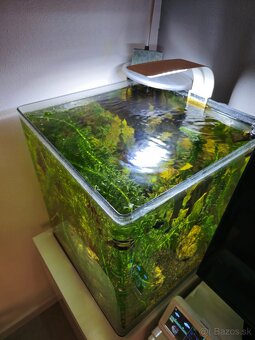 Akvarium 60l - 2