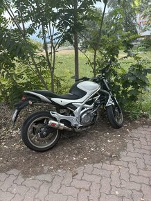 Suzuki gladius 650 - 2