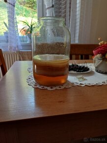 Kombucha - 2