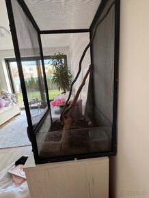 Chameleon kit terarium - 2