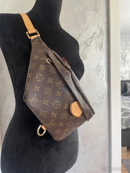 Louis vuitton - 2