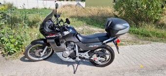 Honda transalp 600 - 2