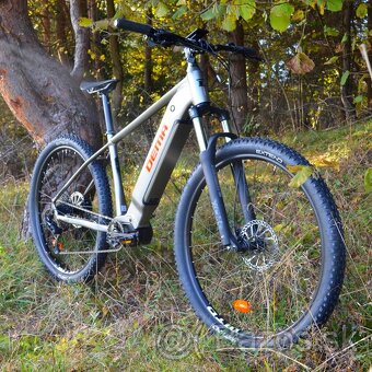 29" e-bike DEMA Ergo 29 bronze, veľkosť 48 M/L - 2