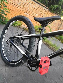 SPECIALIZED Custom Dirt - 2