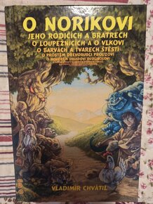 Gamebook O Norikovi, Lone Wolf: Utok ze tmy - 2