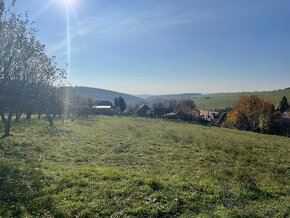 Na predaj pozemok vhodný na sad, záhradku v Starej Turej,Súš - 2