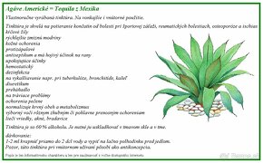 Agáve Americké tinktúra Aloe Vera 50 ml - 2