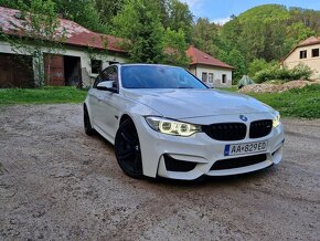 Bmw  M3 F80 - 2