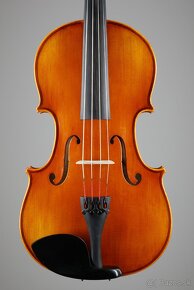 Viola - 2