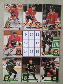 Hokejové kartičky Donruss 93/94 - 2