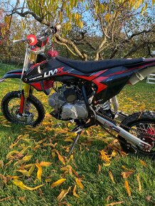 Predám Pitbike SYMOTOS 140 LMX - 2