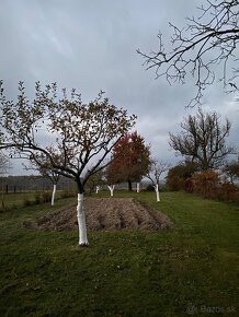 Služby v záhrade a okolo domu - 2