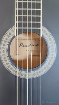 Gitara Pasadena SC041 3/4 - 2