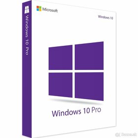 Microsoft Windows 10 / 11 Pro - 2