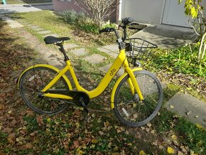 Ofo bike - 2