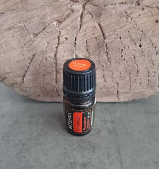 Doterra Cinnamon - 2