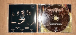 metal CD - FLESHCRAWL - As Blood Rain From  the Sky... - 2