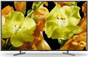 Sony TV KD - 55XG8196 - 2