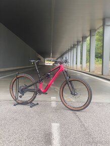 Specialized Enduro Elite L - 2