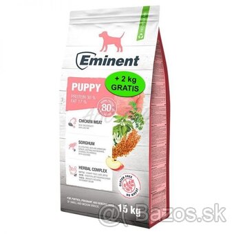 Eminent puppy Gold - 2