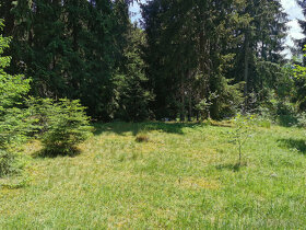 Svätý Kríž , pozemok pod Nízkymi Tatrami na výstavbu chaty - 2