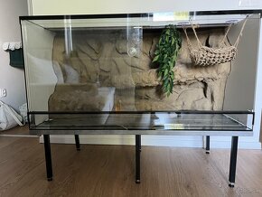 Terarium - 2