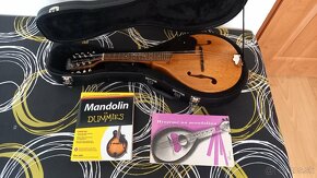 Mandolína - 2