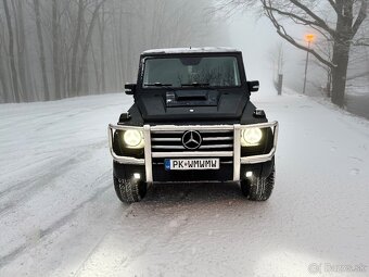 Mercedes Benz G400cdi 2003 W463 - 2