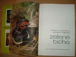 Zelené ticho - 2