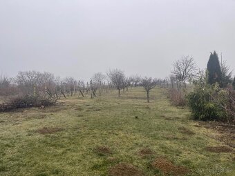 Na predaj 3 izbový RD s krásnym pozemkom len 6 km od Hlohovc - 2