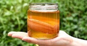 KOMBUCHA - - 2